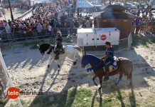 Una mujer resulta herida tras ser pisoteada por un caballo en la Festa da Arribada