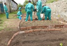 Usuarios de Avelaíña comienzan las prácticas en ayuntamientos y empresas de la zona