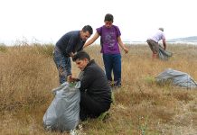 Retiran cientos de plantas invasoras de la Superficie Dunar de Playa América