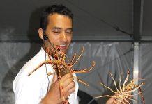 El Chef Yayo Daporta inaugura la Festa da Langosta da Guarda