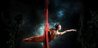 danza_aerea