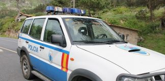 Coche Policía