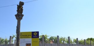 Saneamiento en Tomiño