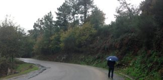 ASFALTADO CALLES DE NIGRÁN