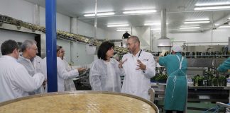 conservera A Rosaleira