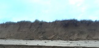 erosión Playa América