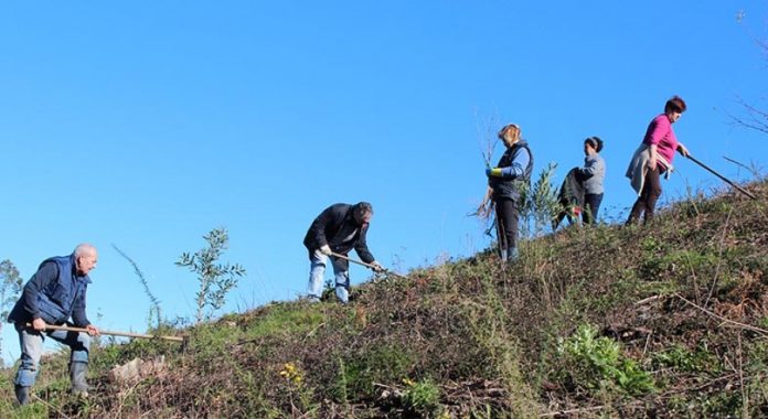 Comunidad de Montes en Man Común de Peitieiros