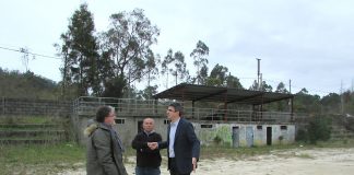 campo codesal a gaurda