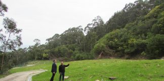 Finalizan las obras de recuperación medioambiental en el Monte Torroso de A Guarda