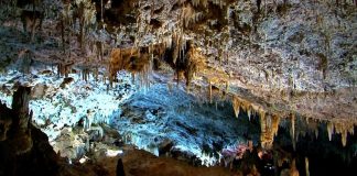 Castro e Ladeira organiza una excursión a Santander, Cabarceno y Cuevas del Soplao