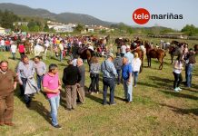 Rebordáns celebra las fiestas de San Roque y San Bartolomé Feira Cabalar de San Bartolomé 2015