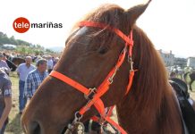 I Xuntanza Cabalar en Goián
