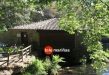 O Rosal «móllase polos ríos» con la limpieza del Tamuxe