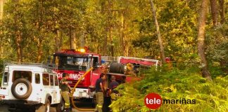 Arden 300 m2 en un conato de incendio forestal en Vincios