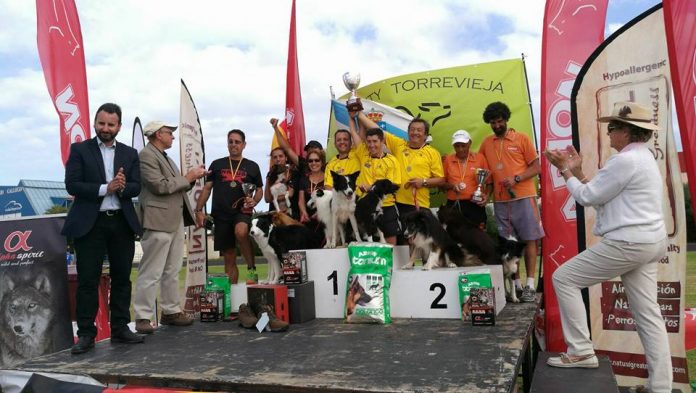 agility-camos-nigran-campeon-espana El Club Agility Wecan de Nigrán se proclamó campeón de España en Alicante