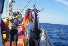 Orpagu anuncia una querella criminal contra Greenpeace por la sustracción de sus aparejos