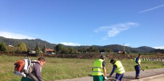 Usuarios del Centro Juan María recuperan árboles en Porto do Molle