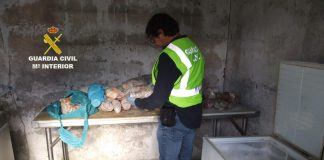 La Guardia Civil localiza un punto de venta clandestino de productos cárnicos en Vigo