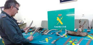 Detenido un cazador furtivo de Gondomar por colocar varios lazos metálicos en un monte del municipio