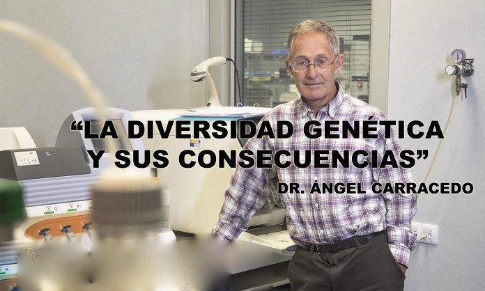 angel_carracedo
