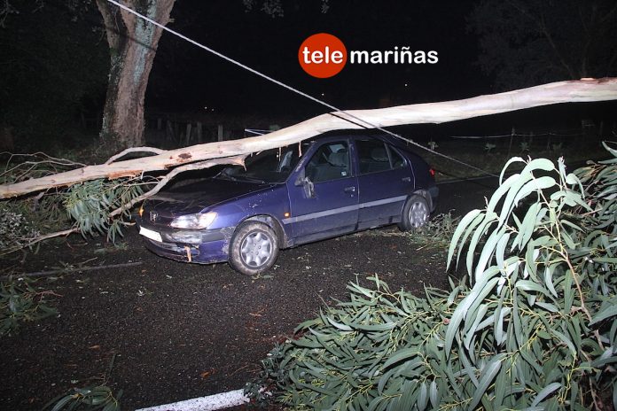 Un árbol derribado por el temporal provoca un accidente en O Rosal