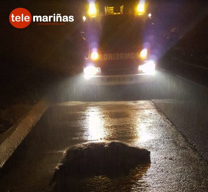 Un turismo atropella y mata a un jabalí en el vial que une A Guarda con Goián