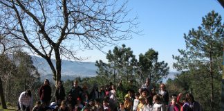 Alumnos do CEIP da Cruz de Camos plantan un loureiro para conmemorar o “Día internacional da lingua materna”