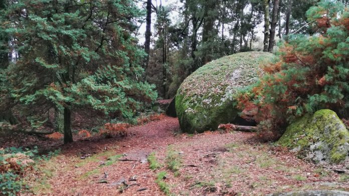 Monte Aloia Tui Tui contará con un servicio de taxi lanzadera para el Monte Aloia