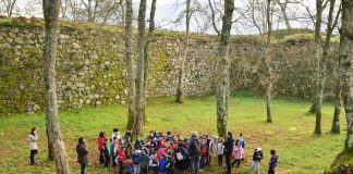 Más de 600 alumnos de primaria e infantil conocieron los árboles “senlleiros” de Tomiño