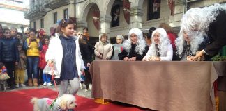 II feria solidaria de San Carnaval en Tui