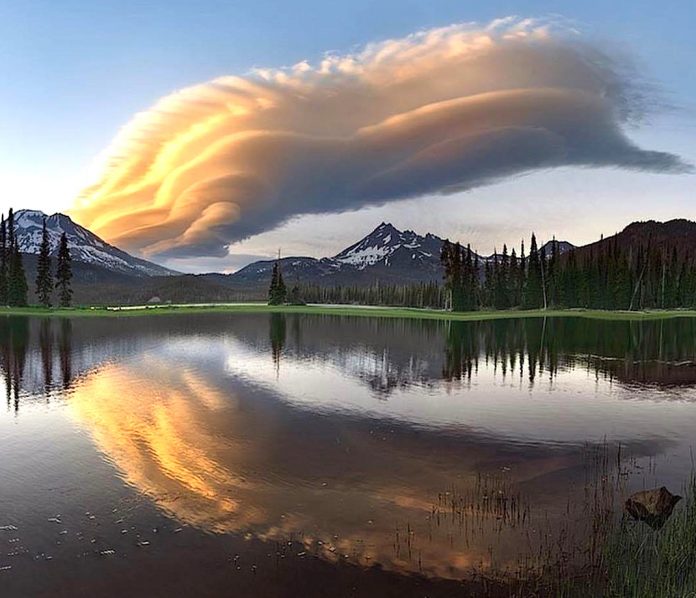 Tui se suma a la Hora del Planeta