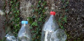 Trampas caseras para erradicar la avispa Velutina en Gondomar