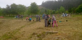 Los alumnos en la plantación arborea en Chans, en el monte Trega de A Guarda