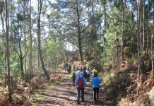 Una andaina para recorrer los balcones del Monte Aloia de Tui
