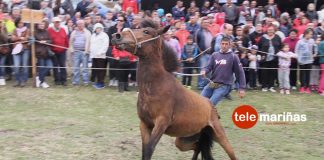 El curro de A Valga abre la temporada en Galicia
