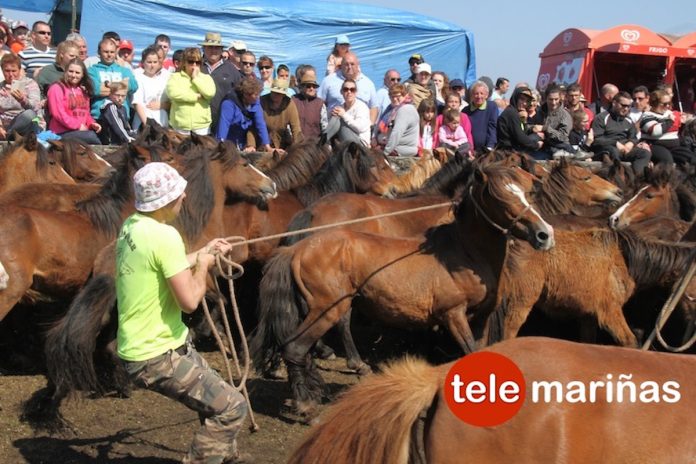 A Valga celebra el primer curro de la temporada en Galicia