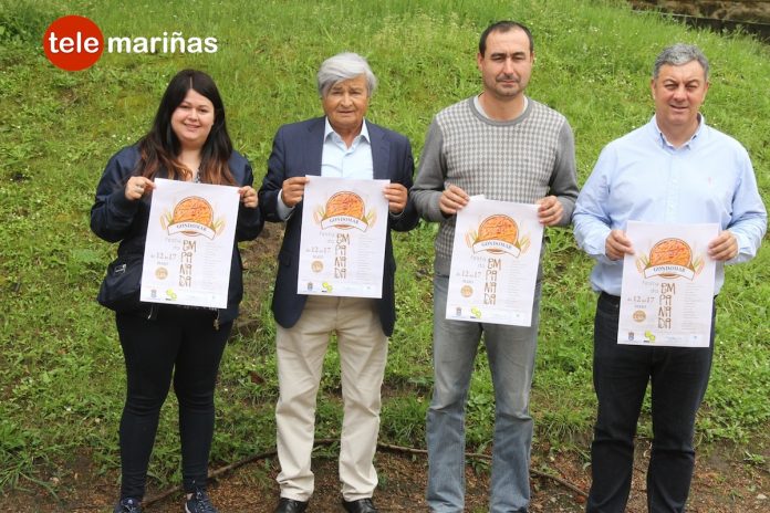 Siete días para degustar 17 empanadas diferentes en Gondomar