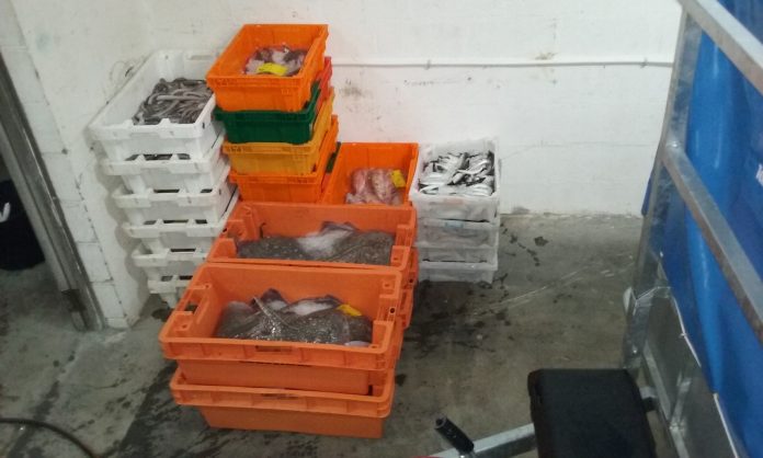 20170622_comiso-vigo-2 Requisan cerca de 1.300 kilos de pescado y marisco en Vigo