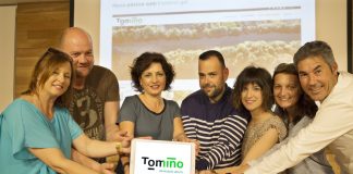 Tomiño renueva logo y página web