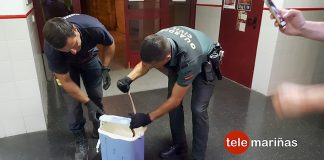 Herida una joven tras morderle una culebra en O Rosal