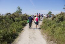 Comienzan las andainas de la Eurocidade Tui-Valença