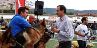 Gondomar será sede de la exposición monográfica del Pastor Alemán el próximo año