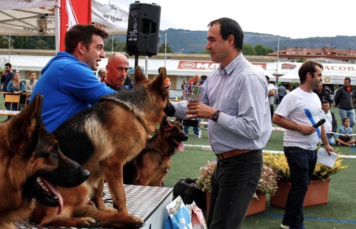Gondomar será sede de la exposición monográfica del Pastor Alemán el próximo año