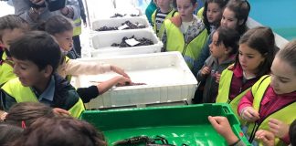 Orpagu acerca el mar a 200 escolares de A Guarda