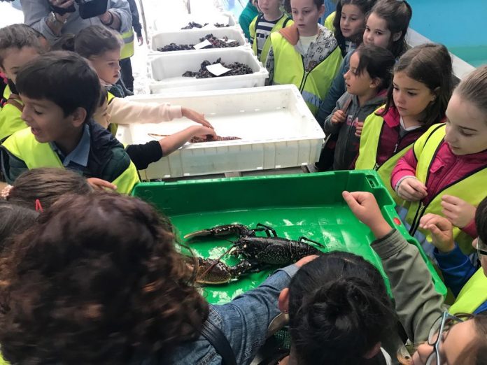 Orpagu acerca el mar a 200 escolares de A Guarda