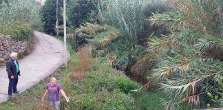 Malestar en Sabarís por la falta de limpieza de los ríos Guillade y Grova