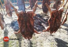 Currás celebra las fiestas en honor a San Martiño con castañas y porco ó espeto