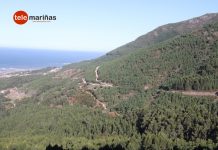 Oia proyecta un parque forestal de 50.000 metros cuadrados