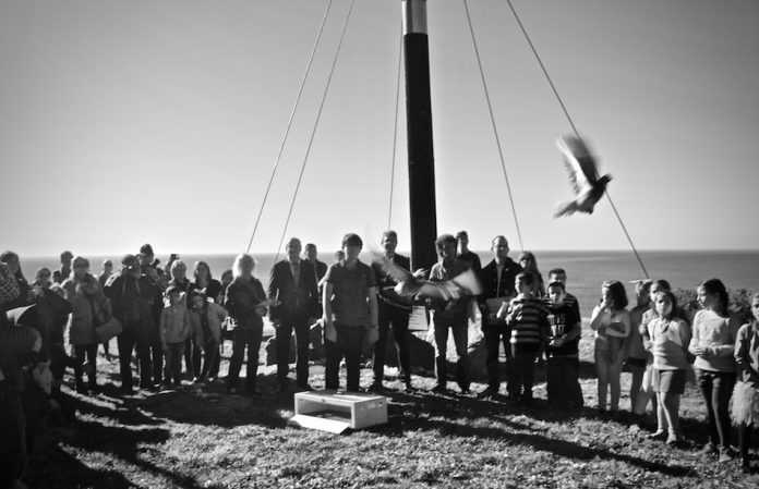 homenaje_marea_branca_aguarda