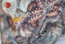 Comienza la campaña del pulpo tras un parón de tres meses